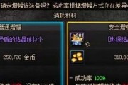 《DNF》夏日阿拉德冲浪礼包宠物外观属性介绍（享受夏日海滩乐趣，留下难忘回忆）