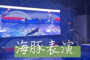 《海豚表演馆游戏攻略》（探索海洋奇观，成为最棒的海豚指导员！）