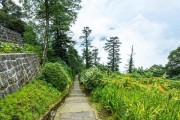 《山中之路》游戏攻略（探寻山谷深处的秘密，挑战自我突破极限！）