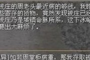 玩转《以杀死老板》游戏（打破常规思维，成为最强老板杀手）