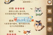 探索秘密森林的神秘冒险与猫咪的陪伴（用策略和智慧解开秘密森林的谜团，与可爱的猫咪一同踏上冒险之旅）