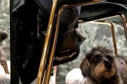惊恐走私犯攻略（了解威胁、提高安全意识，从容面对惊恐走私犯）