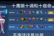 玩转廉颇，让纯肉无敌一刀不剪！（玩转廉颇，让纯肉无敌一刀不剪！）