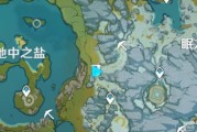 原神雪山转圈攻略（解锁隐藏任务，挑战强敌，探寻宝藏，畅享奇妙冒险！）