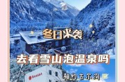 温泉旅馆游戏攻略——享受放松的独特体验（揭秘温泉旅馆游戏的攻略技巧，助您轻松获得高分！）