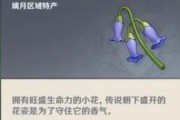 原神七七全方位攻略（解锁秘籍，助您轻松征服原神世界）
