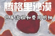 探索原神沙漠绿洲（挑战考验，揭开沙漠绿洲的神秘面纱）