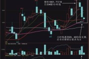 狩猎契约技能搭配攻略（高效利用技能点，打造完美狩猎之路）