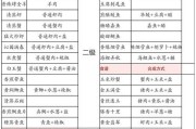 《解忧小村落》捉鬼攻略全解析（玩转游戏，轻松捉鬼，享受游戏快感）