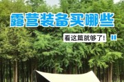 玩转野趣游戏世界，畅享独特玩法（探索无限可能，成为游戏大师）