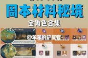 《iOS原神攻略大全》（详细解析原神游戏玩法，助你轻松通关副本！）
